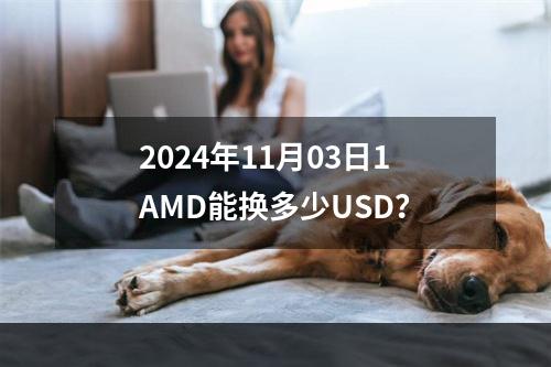 2024年11月03日1AMD能换多少USD？