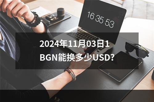 2024年11月03日1BGN能换多少USD？