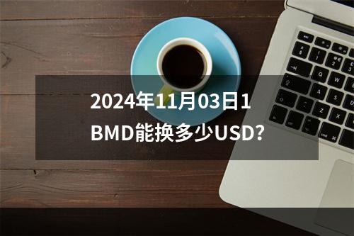 2024年11月03日1BMD能换多少USD？