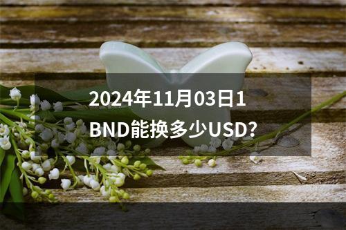 2024年11月03日1BND能换多少USD？