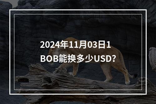 2024年11月03日1BOB能换多少USD？