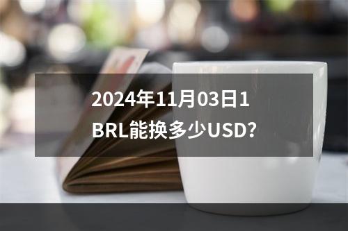 2024年11月03日1BRL能换多少USD？