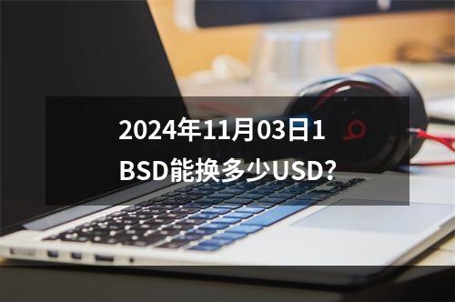 2024年11月03日1BSD能换多少USD？