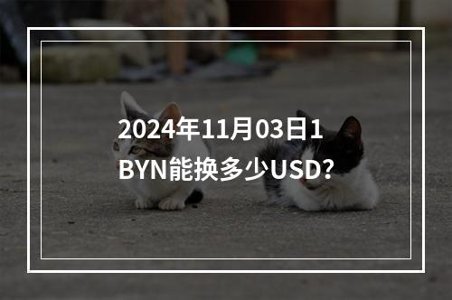 2024年11月03日1BYN能换多少USD？