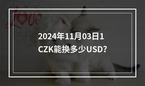 2024年11月03日1CZK能换多少USD？