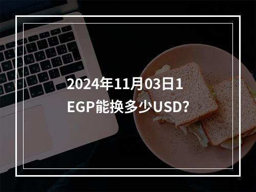 2024年11月03日1EGP能换多少USD？