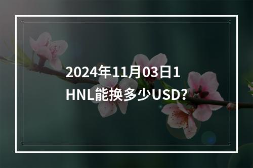 2024年11月03日1HNL能换多少USD？