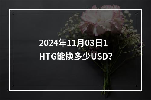 2024年11月03日1HTG能换多少USD？