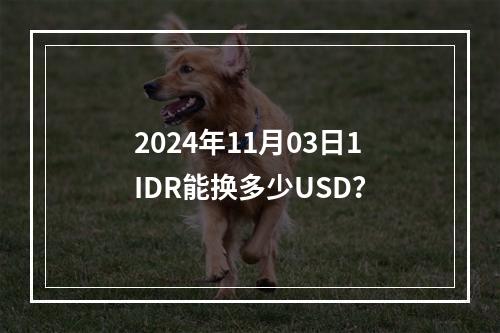 2024年11月03日1IDR能换多少USD？