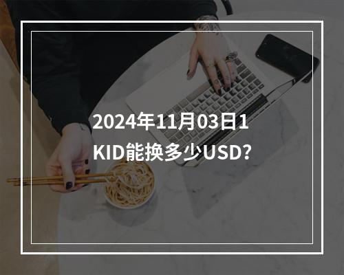 2024年11月03日1KID能换多少USD？