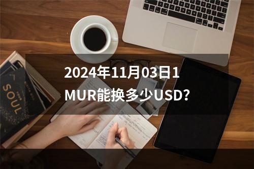 2024年11月03日1MUR能换多少USD？