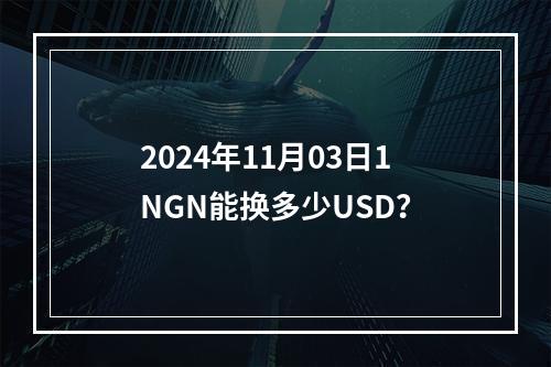 2024年11月03日1NGN能换多少USD？