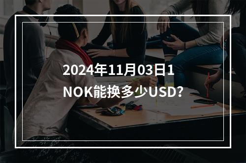 2024年11月03日1NOK能换多少USD？