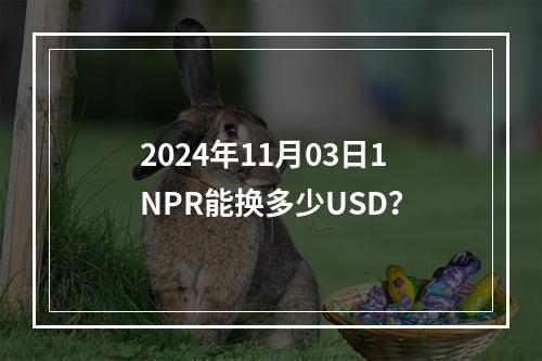 2024年11月03日1NPR能换多少USD？