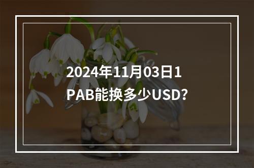 2024年11月03日1PAB能换多少USD？