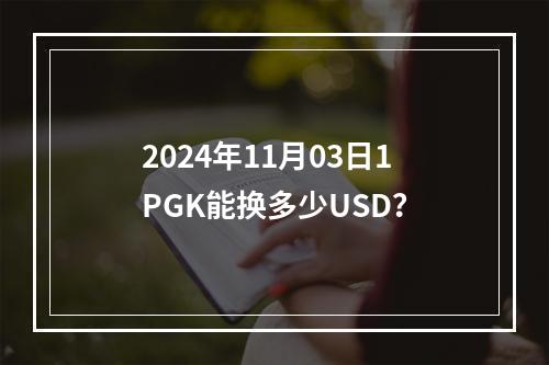 2024年11月03日1PGK能换多少USD？