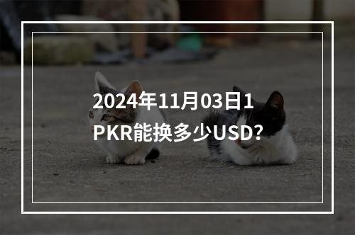 2024年11月03日1PKR能换多少USD？