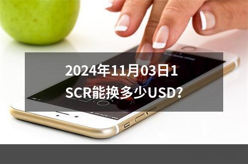 2024年11月03日1SCR能换多少USD？