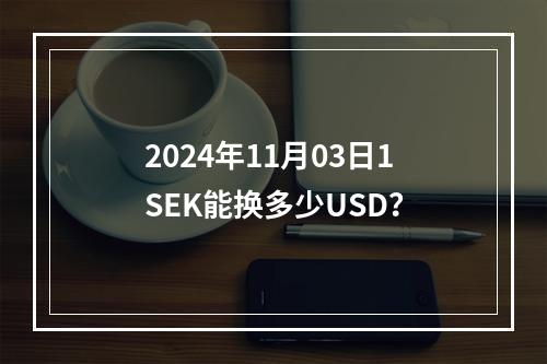 2024年11月03日1SEK能换多少USD？