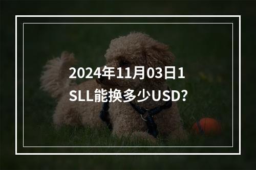 2024年11月03日1SLL能换多少USD？