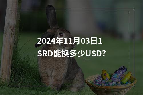 2024年11月03日1SRD能换多少USD？