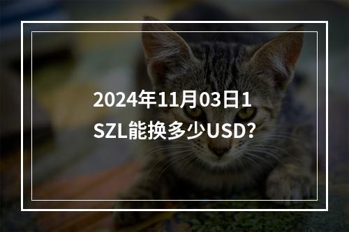 2024年11月03日1SZL能换多少USD？