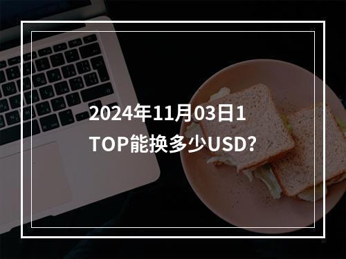 2024年11月03日1TOP能换多少USD？