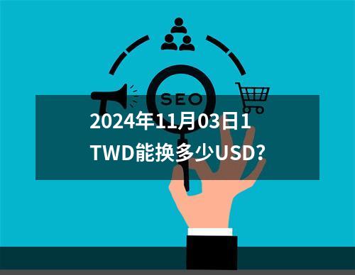 2024年11月03日1TWD能换多少USD？