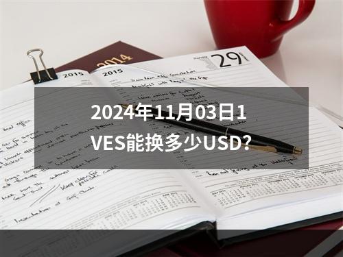 2024年11月03日1VES能换多少USD？