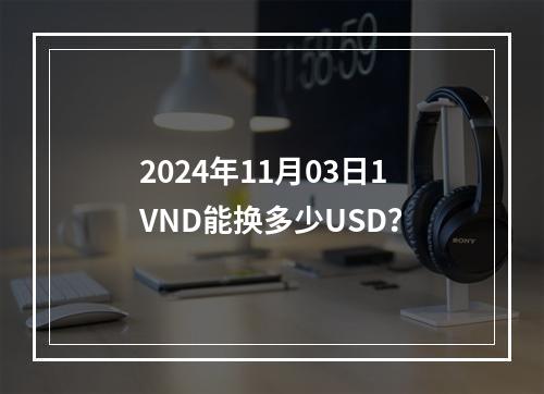 2024年11月03日1VND能换多少USD？