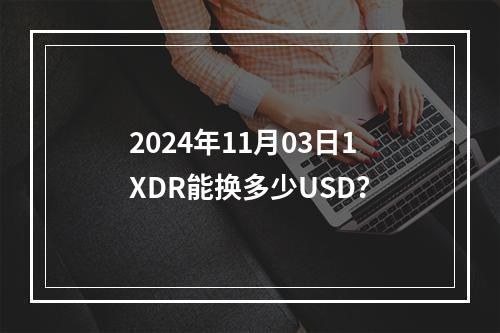 2024年11月03日1XDR能换多少USD？