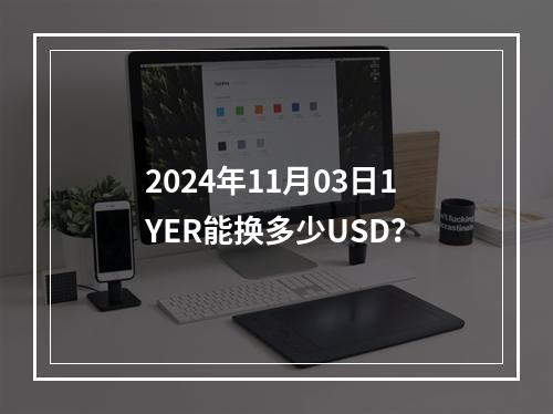 2024年11月03日1YER能换多少USD？