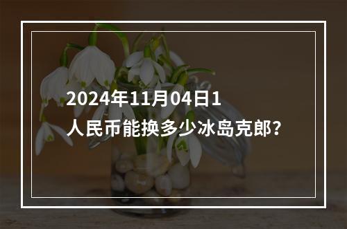 2024年11月04日1人民币能换多少冰岛克郎？