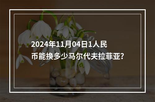 2024年11月04日1人民币能换多少马尔代夫拉菲亚？