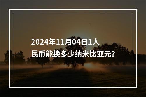 2024年11月04日1人民币能换多少纳米比亚元？