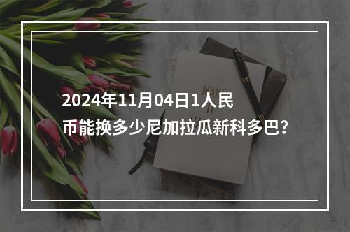 2024年11月04日1人民币能换多少尼加拉瓜新科多巴？