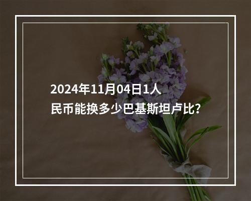 2024年11月04日1人民币能换多少巴基斯坦卢比？