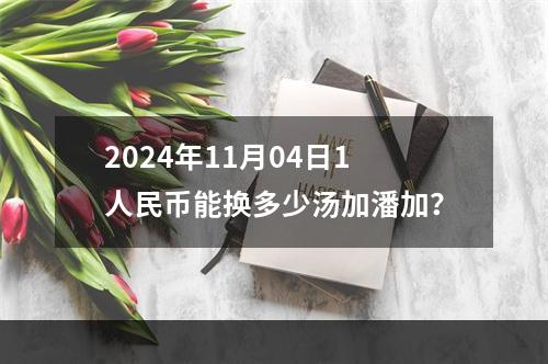 2024年11月04日1人民币能换多少汤加潘加？