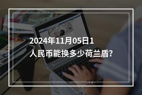 2024年11月05日1人民币能换多少荷兰盾？