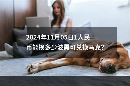 2024年11月05日1人民币能换多少波黑可兑换马克？