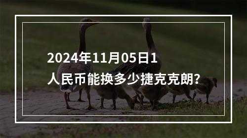 2024年11月05日1人民币能换多少捷克克朗？