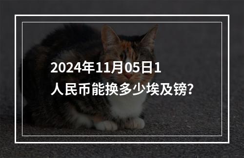 2024年11月05日1人民币能换多少埃及镑？