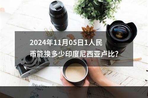 2024年11月05日1人民币能换多少印度尼西亚卢比？