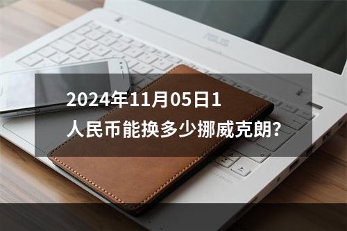 2024年11月05日1人民币能换多少挪威克朗？