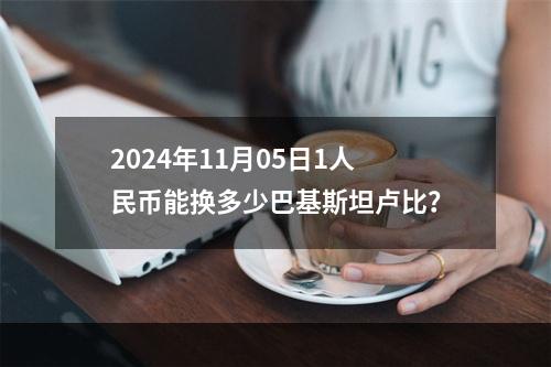 2024年11月05日1人民币能换多少巴基斯坦卢比？