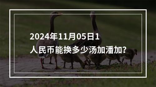 2024年11月05日1人民币能换多少汤加潘加？