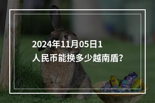 2024年11月05日1人民币能换多少越南盾？