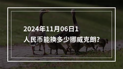 2024年11月06日1人民币能换多少挪威克朗？