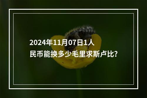 2024年11月07日1人民币能换多少毛里求斯卢比？