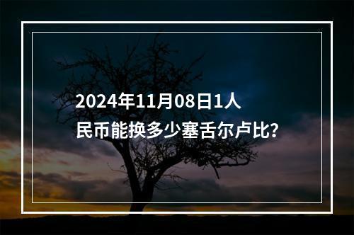 2024年11月08日1人民币能换多少塞舌尔卢比？